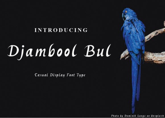 Djambool Bul: The Display Font for Relaxed Elegance in Digital Marketing