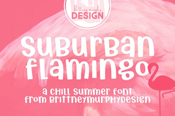 Suburban Flamingo Font Review for Small Business Branding